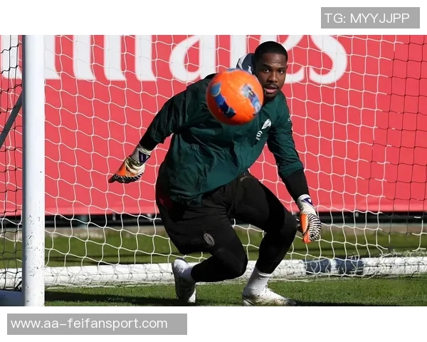 意甲最佳阵容揭晓博尼领衔国米三将入选迈尼昂表现出色